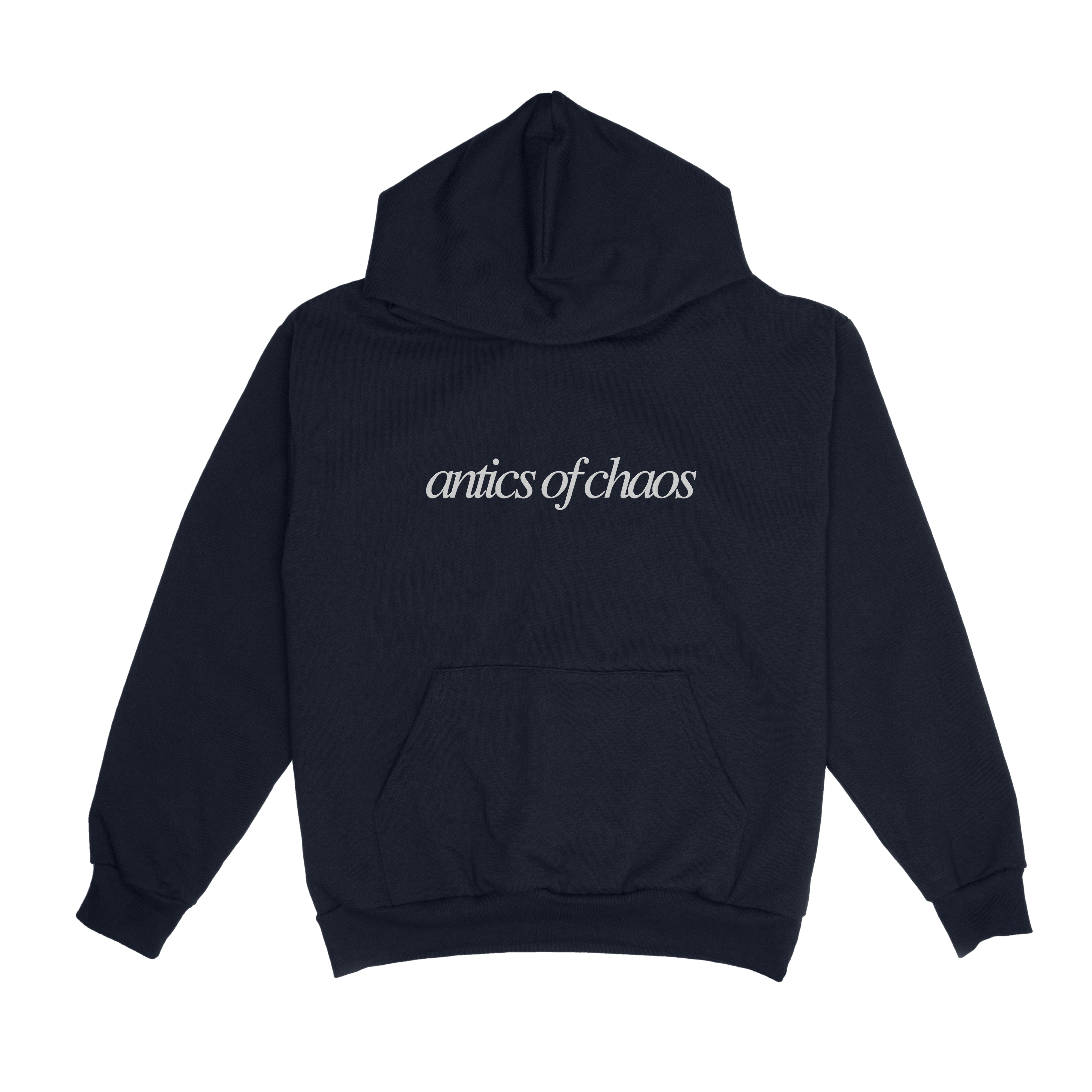 antics wordmark hoodie
