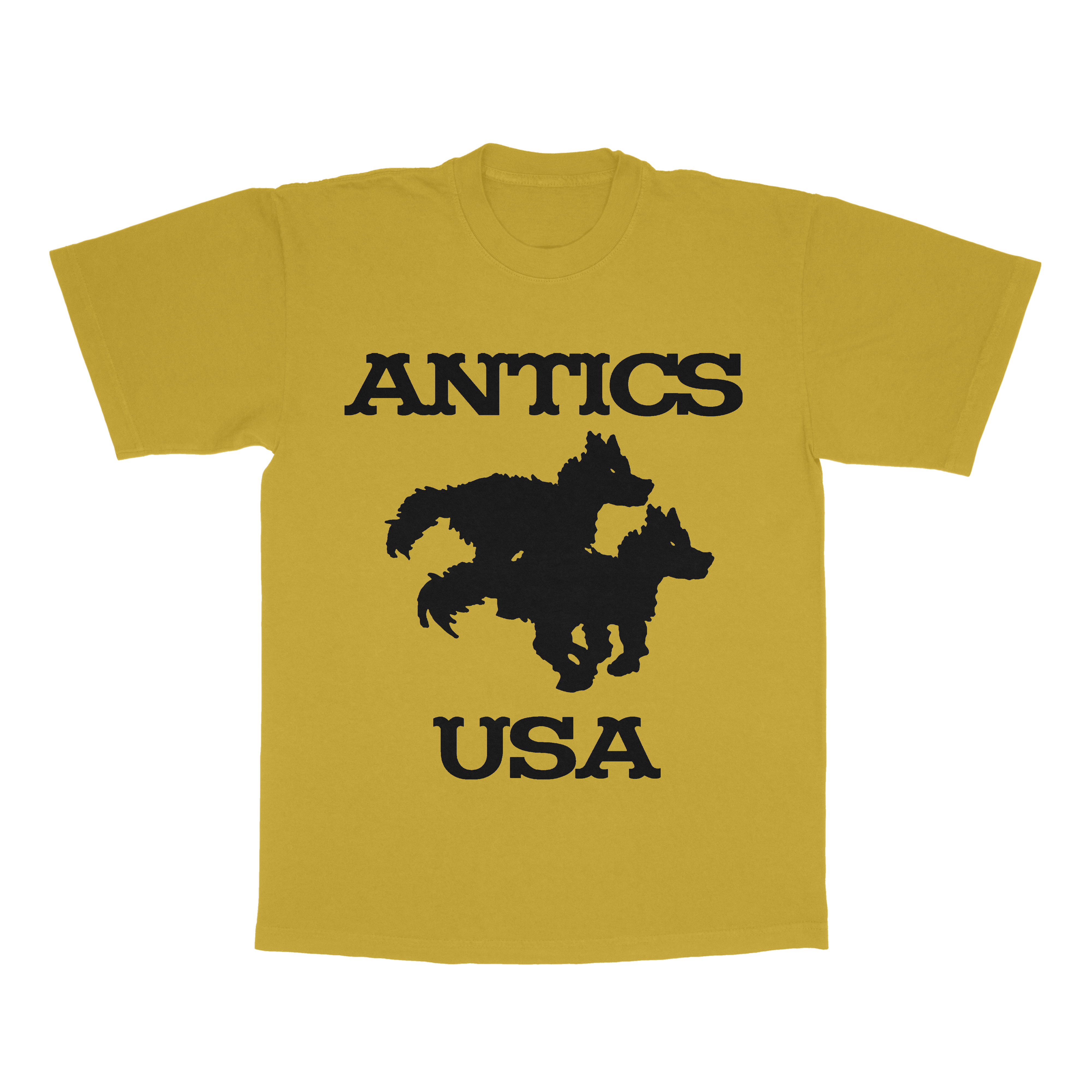 antics usa tee